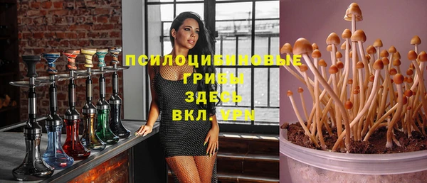 молекула духа Алексеевка