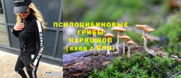 mix Алексин