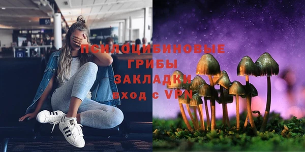 mix Алексин