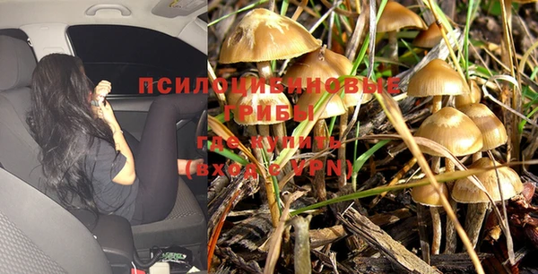 молекула духа Алексеевка