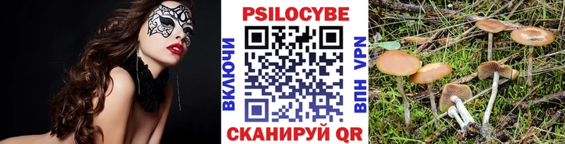 Псилоцибиновые грибы GOLDEN TEACHER  магазин продажи   MEGA ТОР  Зеленоградск 